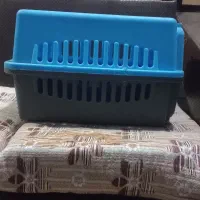 قفس سگ وگربه