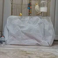 عروس هلندی سخنگو|پرنده|بروجن, |دیوار