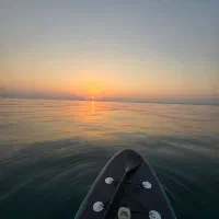 اجاره پدل برد با قیمت مناسب