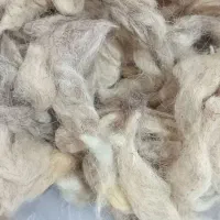 فروش پشم گوسفند|رختخواب، بالش، پتو|مشگین شهر, |دیوار