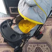 کالسکه مارک چیکودرحدنو