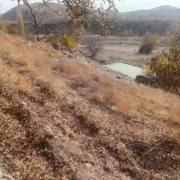 باغ|فروش زمین و ملک کلنگی|مشگین شهر, |دیوار