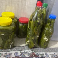 خیار شور تازه