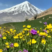 تور یکروزه دشت آزو