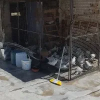 توره کبوتر کلن توره شبکه ای همراه سایبان