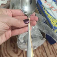 سرویس قاشق چنگال باترفلای|ظروف سرو و پذیرایی|فولادشهر, A3|دیوار