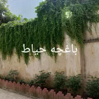 خانه ویلایی دوبلکس|فروش خانه و ویلا|رشت, دروازه لاکان|دیوار