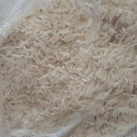برنج فجر سوزنی ۹۰ روزه برداشت امسال  ۱ تن
