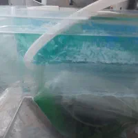 اکواریوم