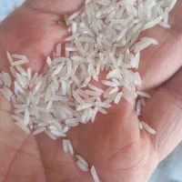 برنج  معدل به قیمت ارزان