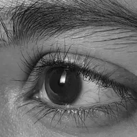 استخدام و یاددهی سیاهقلم