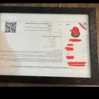 مدرک شغلی برای دریافت چک و ضمانت...