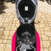 متور پاکشتی