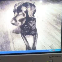 کامپیوتر|رایانه رومیزی|ایلام, |دیوار