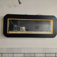 فروش آکواریوم