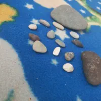 سنگ کف دریا|کلکسیون اشیاء عتیقه|کرمانشاه, |دیوار