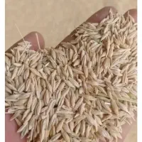 مقداری جو به فروش می‌رسد