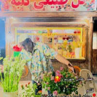 دیزاینر گل طبیعی