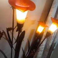 اباژور کنار سالنی