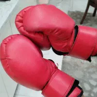 دستکش بوکس top ten|تجهیزات ورزشی|مشهد, طلاب|دیوار