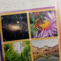 معلم خصوصی ابتدایی در منزل شما