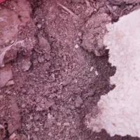 کودگاوی گوسفندی ومرغی|خدمات باغبانی و درختکاری|گمیشان, |دیوار