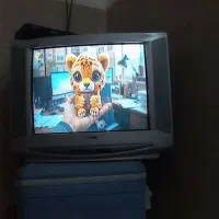 تلویزیون شهاب