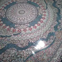 قالی 500شانه سالم درحد|فرش|جیرفت, |دیوار