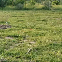 زمین-باغی-روستای-خیرک
