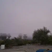 کارگر باغ