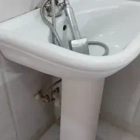 سرشور ایستاده