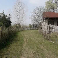 زمین۲۵۰مترمسکونی/قیمت کاسبی/نزدیک آسفالت|فروش زمین و ملک کلنگی|رشت, توشیبا|دیوار