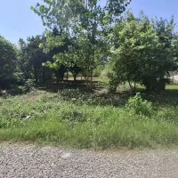 فروش زمین مسکونی 450متری /جاده کیاشهر /تونل جنگلی|فروش زمین و ملک کلنگی|کیاشهر, |دیوار