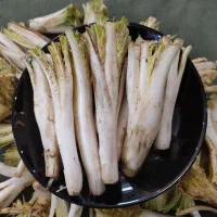 کنگر چین امروز