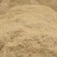 فروش کاه نیشکر خوراک دام