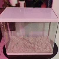 آکواریوم و لوازم درحد نو حراج