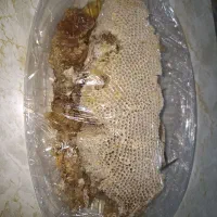 عسل زوروا با شاخه