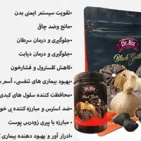 سیر سیاه منبع انرژی و خواص درمانی بالا|خوردنی و آشامیدنی|شیراز, بعثت|دیوار
