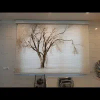 تولیدوپخش انبوه پرده زبرابدون واسطه