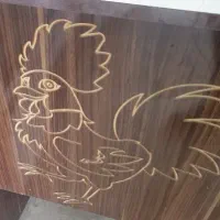 استخدام