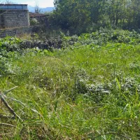 ۵۰۰ متر زمین بر خیابون تجاری مسکونی