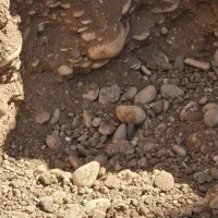 حمل نخاله ماسه06شسته مخلوط ناخاله مینی بیل کمپرسی|خدمات حمل و نقل|شیراز, آزادگان|دیوار