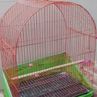 قفس پرنده