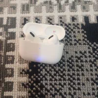 دوعددایرپاداصلی