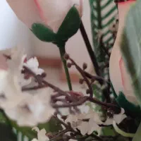 گل مصنوعی شیک|گل مصنوعی|تبریز, |دیوار