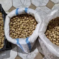 انجیر.بنه .خلال  س ی ر