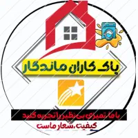 شرکت خدمات و نظافت پاک کاران ماندگار،تیم مجرب