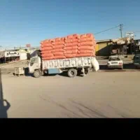 خریدار کاه گندم دیم.نقدی روی زمین|خدمات باغبانی و درختکاری|قروه, |دیوار