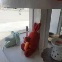 عروسک|اسباب‌بازی بچه|اردبیل, |دیوار