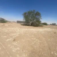 زمین ۴۰۰ متر پشت تره باری حاج ندوم